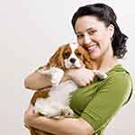 网页攻击器教程